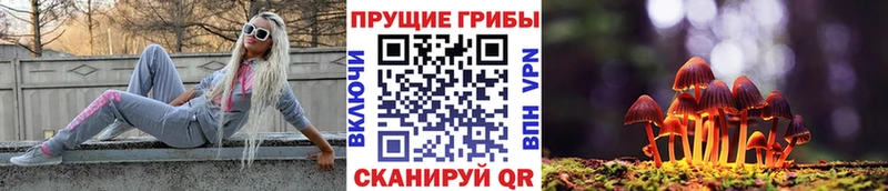 Псилоцибиновые грибы GOLDEN TEACHER  Калач-на-Дону 